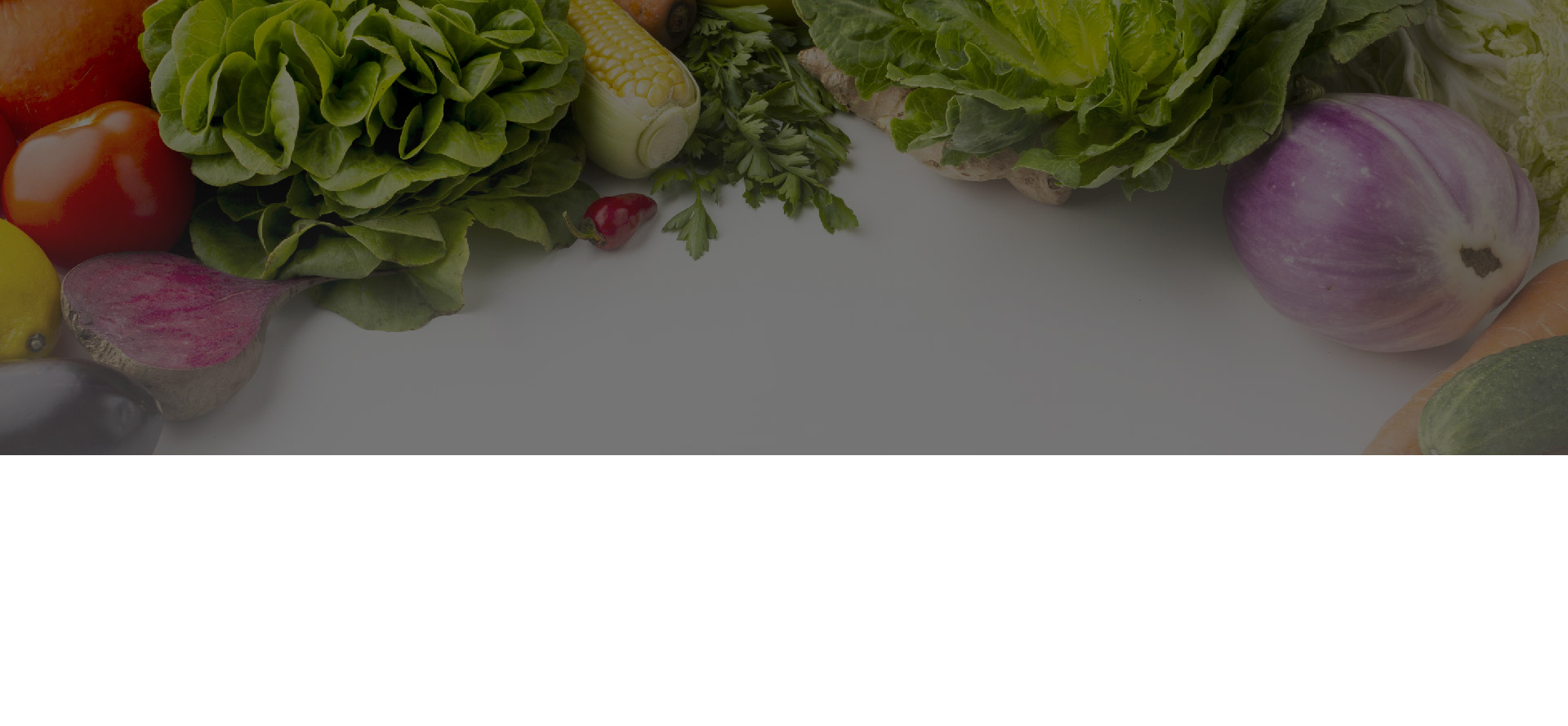 ���Ϻ�֮�̹��̰���